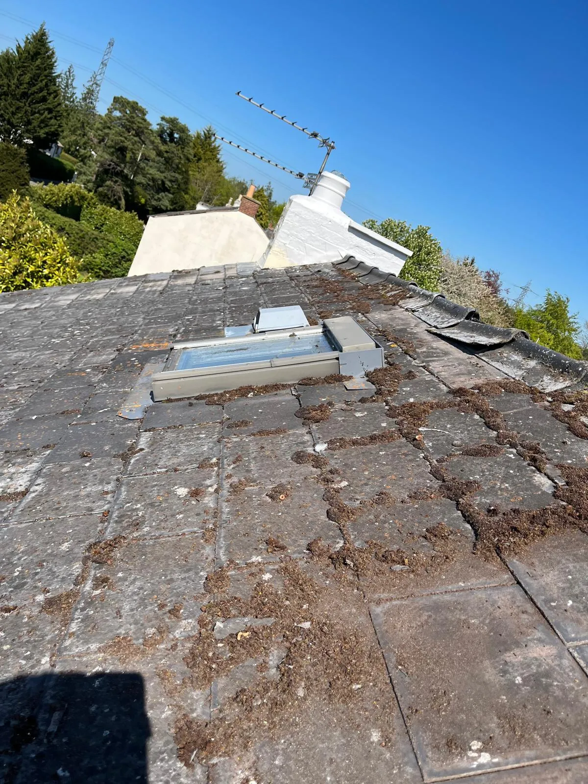 Roof covered in moss with visible wear and tear